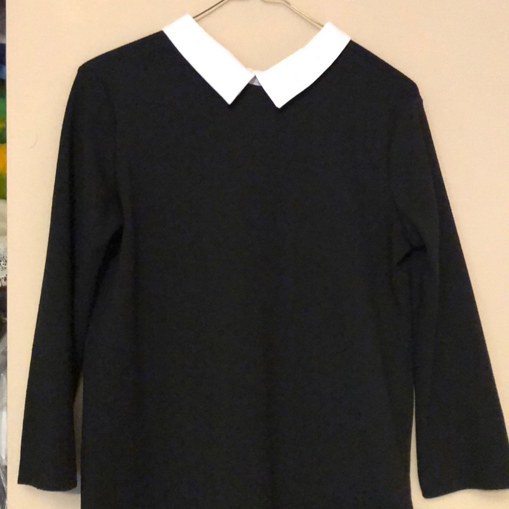 ZARA Collared Dress in Black - Picture 3 of 3